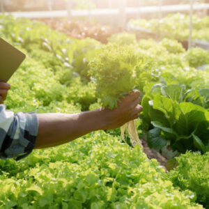 Técnico Agrícola Énf. Agricultura Orgánica