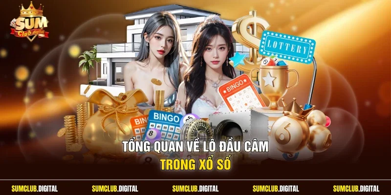 Tổng quan về lô đầu câm trong xổ số