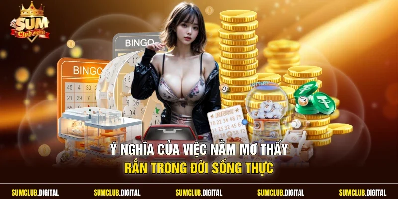 Ý nghĩa của việc nằm mơ thấy rắn trong đời sống thực